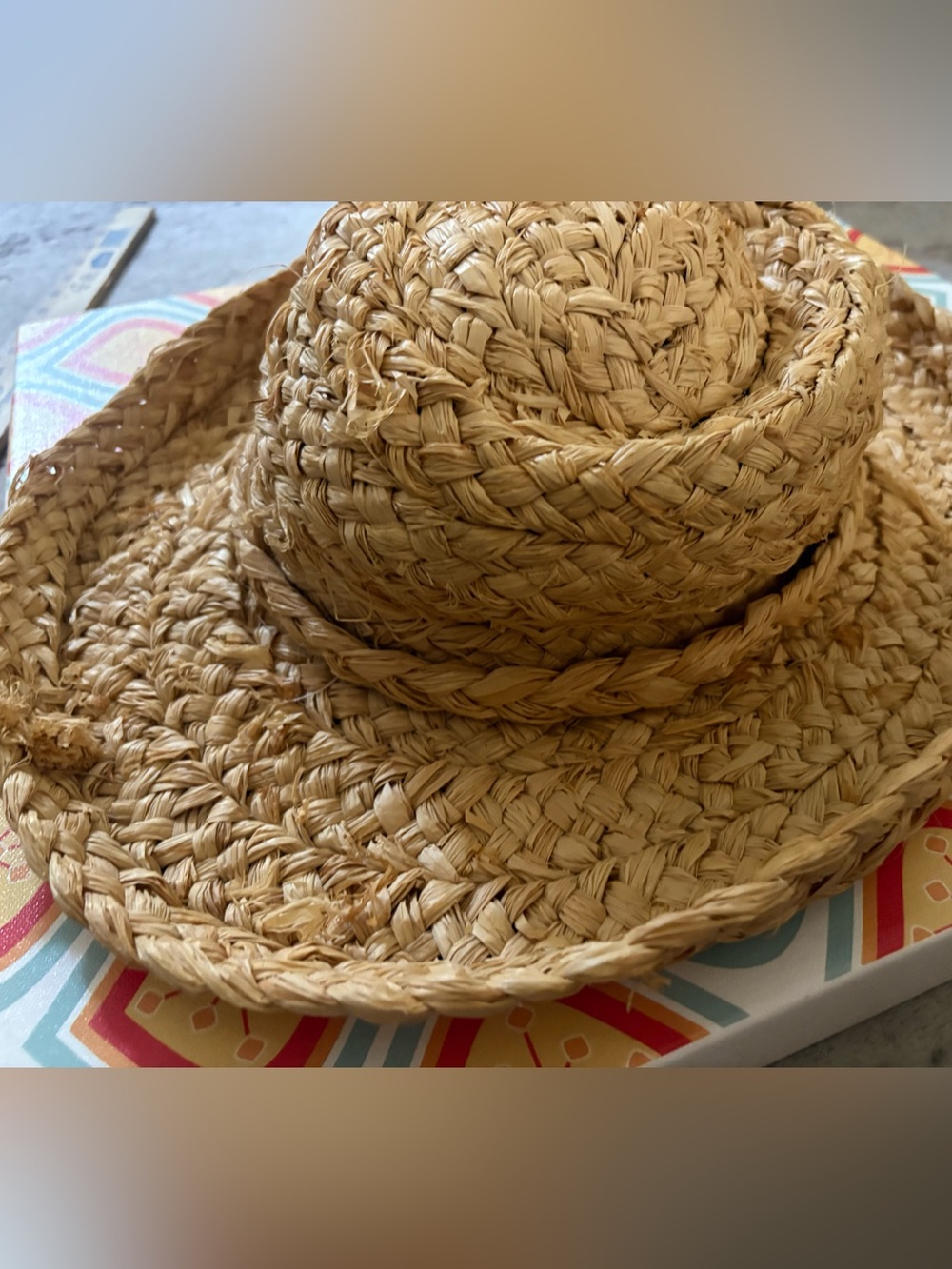 Vintage Straw Hat 🌵